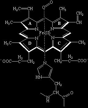 wiązanie żelazo azot pierścienia imidazolowego histydyny