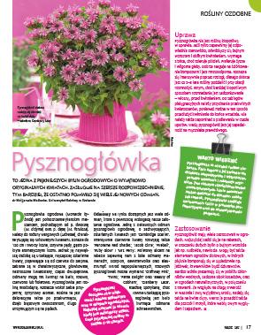 Pysznogłówki Zasługują odmian.