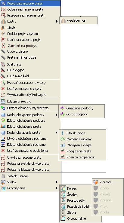 Podstawy Rys. 3.35 Menu kontekstowe dla zakładki Geometria i Obciążenia Wygląd menu zmienia się w zależności od tego jakie elementy są wybrane.