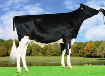 30 423 VisionGen SH FRD A04 VG 86 ( Freddie) 88 vit / 017 128 126 681835Bajou aaa VisionGen SH FRD A04 (MMM) 132 (57%) (%) AB e +9 kg +0,39 % +0,30 % +80 kg +64 kg skład mleka wymię na jałówki