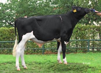 69 387 Cookiecutter MOM Hue VG 88 ( ManOMan) 137 141 126 133 88 vit / 017 130 134 141 681830Barbados aaa 149 (57%) (%) AB Barbados e 128 129 128 +888 kg +0,35 % +0,17 % +71 kg +47 kg skład mleka