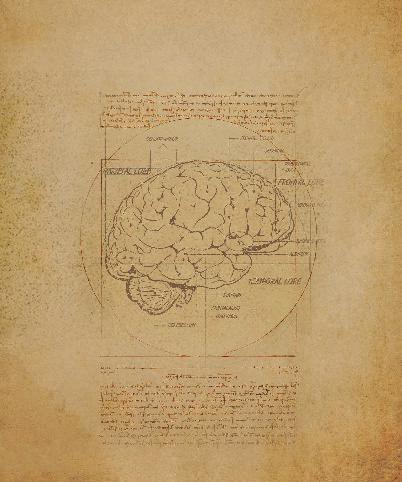 ORIGINAL ARTICLE / ARTYKUŁ ORYGINALNY Adv Psychiatry Neurol 2017;