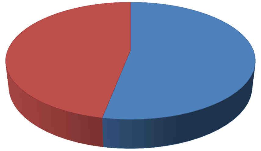 WYNIKI 2015 rok Wartość