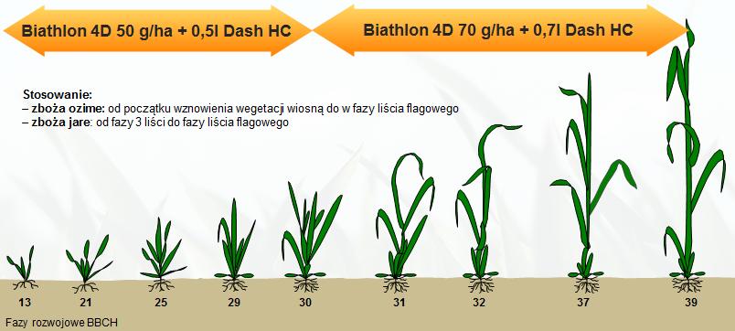 Grafika 1. Biathlon 4D - dawki oraz fazy rozwojowe zbóż dla prawidłowego zastosowania produktu. Wykres 1.