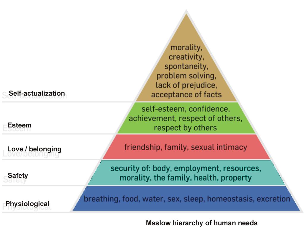 Hierarchia ludzkich potrzeb Maslova