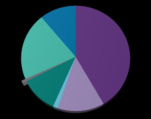 dane od agentów rozliczeniowych I półrocze 2013 r. 0,2% 18,3% 5,0% II półrocze 2013 r. karty skradzione Internet/MOTO karty niedoręczone karty zgubione karty uzyskane na podst.