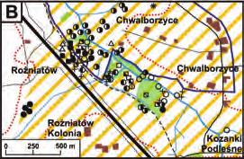 w sprawie ochrony gatunkowej roślin: Ch. ochrona ścisła, Ch.cz. ochrona częściowa; ** wg Kaźmierczakowa i in.