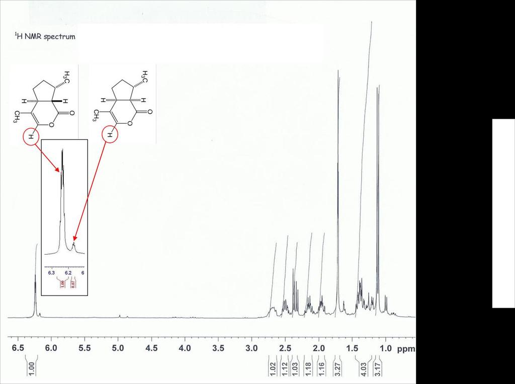 Widmo 1 H NMR