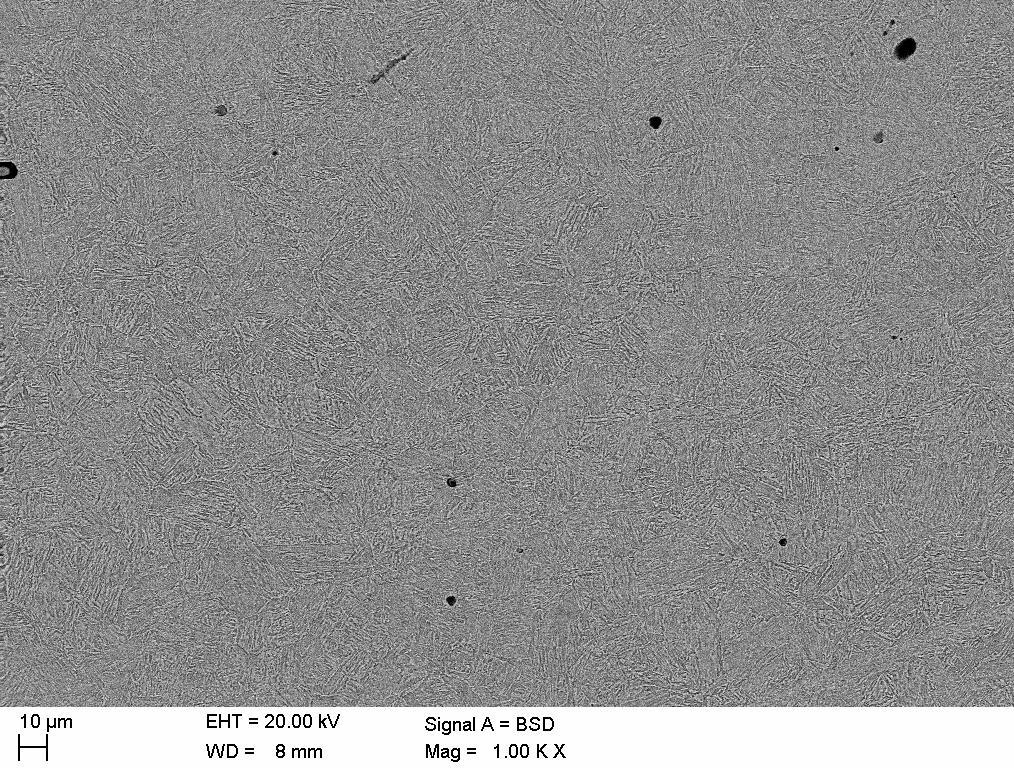 Rys. 6.84 Obraz mikrostruktury staliwa GS42CrMo4.