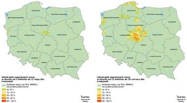 Szczegółowe zestawienie dotyczące liczby gmin z zagrożeniem suszą, udział tych gmin na tle wszystkich gmin województwa i kraju oraz udział zagrożonych gruntów ornych suszą jesienią 2016 r.