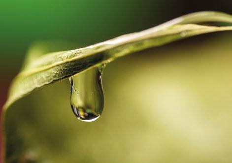 ROZDZIAŁ II GOSPODARKA WODNA AGROTECHNIKA Rola warunków siedliskowych i agrotechniki w poprawie gospodarki wodnej roślin Systemy wspomagania decyzji w nawodnieniach upraw