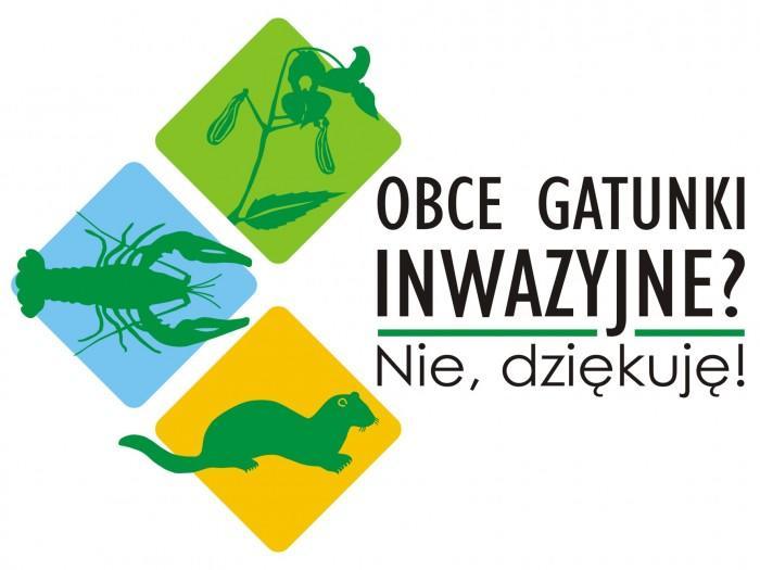 Nie, dziękuję!