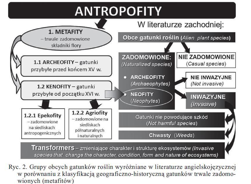 Źródło: TOKARSKA-GUZIK B., DAJDOK Z., ZAJĄC M., URBISZ A., DANIELEWICZ W.2011.