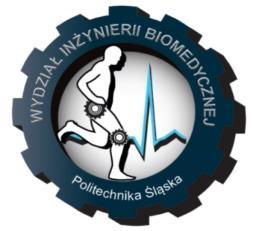 Dodatkowe elementy wzbogacające proces dydaktyczny Pozyskane projekty z grupy POWER NCBiR Dzięki współpracy z Biurem Karier Studenckich Politechniki Śląskiej POWER 2017-2018: Ścieżki Kopernika do