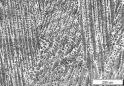 uzyskanych napoin wykonano badania metalograficzne makroskopowe na mikroskopie stereoskopowym Olympus SZX9 (rys.