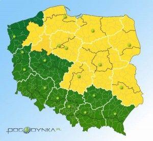 .pl https://www..pl Mapa zagrożenia mrozem.