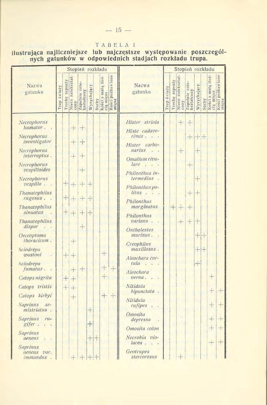 T A B E L A ilustrująca najliczniejsze lub najczęstsze występowanie poszczególnych gatunków w odpowiednich stadjach rozkładu trupa.
