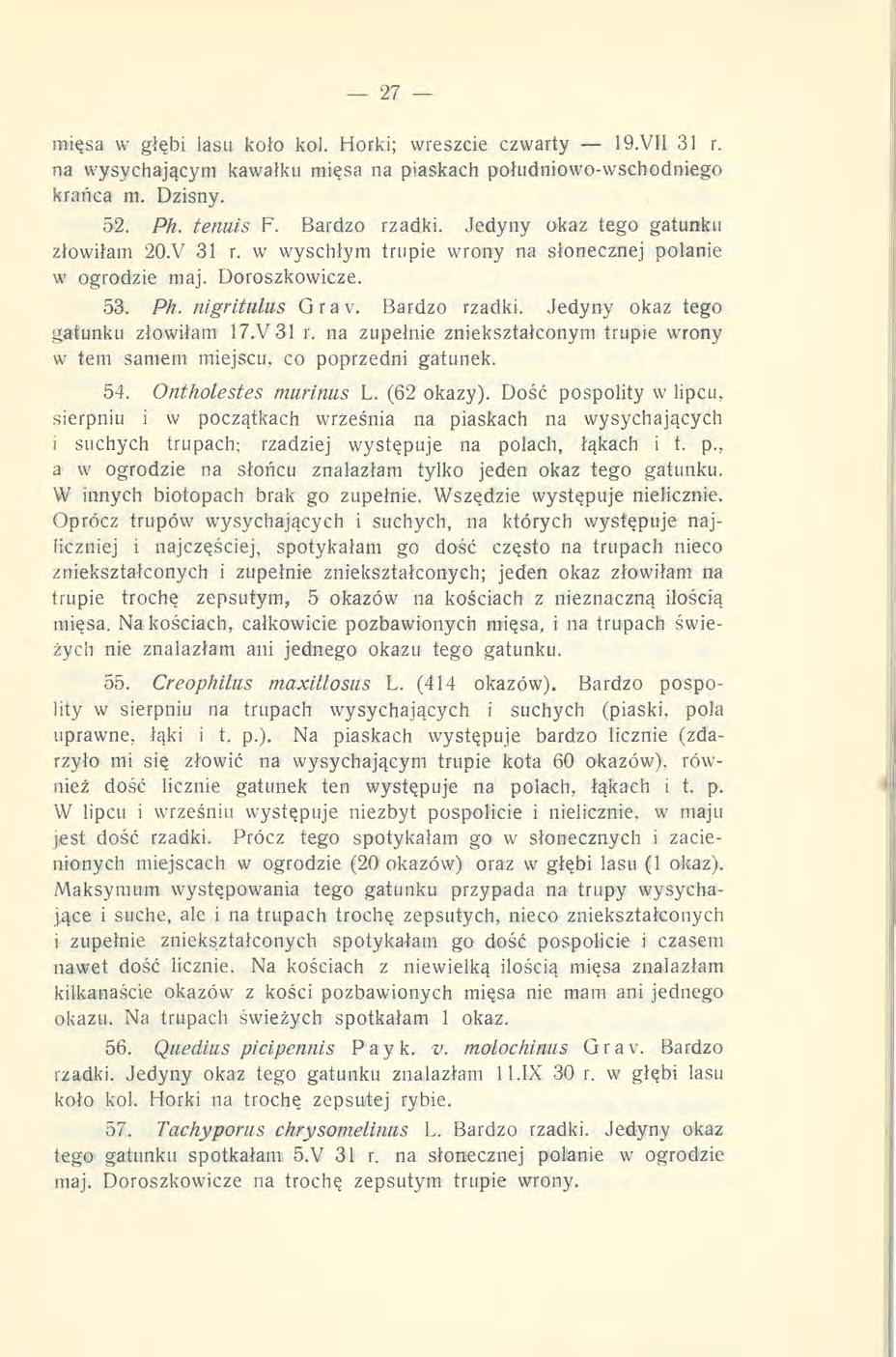 mięsa w głębi lasu koło kol. Horki; wreszcie czwarty 19.VII 31 r. na wysychającym kawałku mięsa na piaskach południowo-wschodniego krańca m. Dzisny. 52. Ph. tenuis F. Bardzo rzadki.