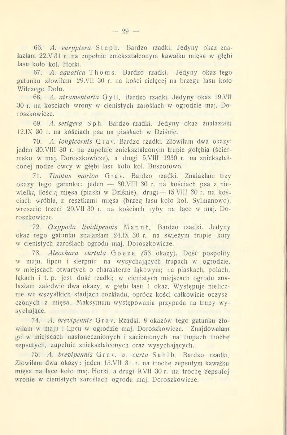 66. A. euryptera Steph. Bardzo rzadki. Jedyny okaz znalazłam 22.V31 r. na zupełnie zniekształconym kawałku mięsa w głębi lasu koło kol. Horki. 67. A. aąuatica Thorns. Bardzo rzadki. Jedyny okaz tego gatunku złowiłam 29.