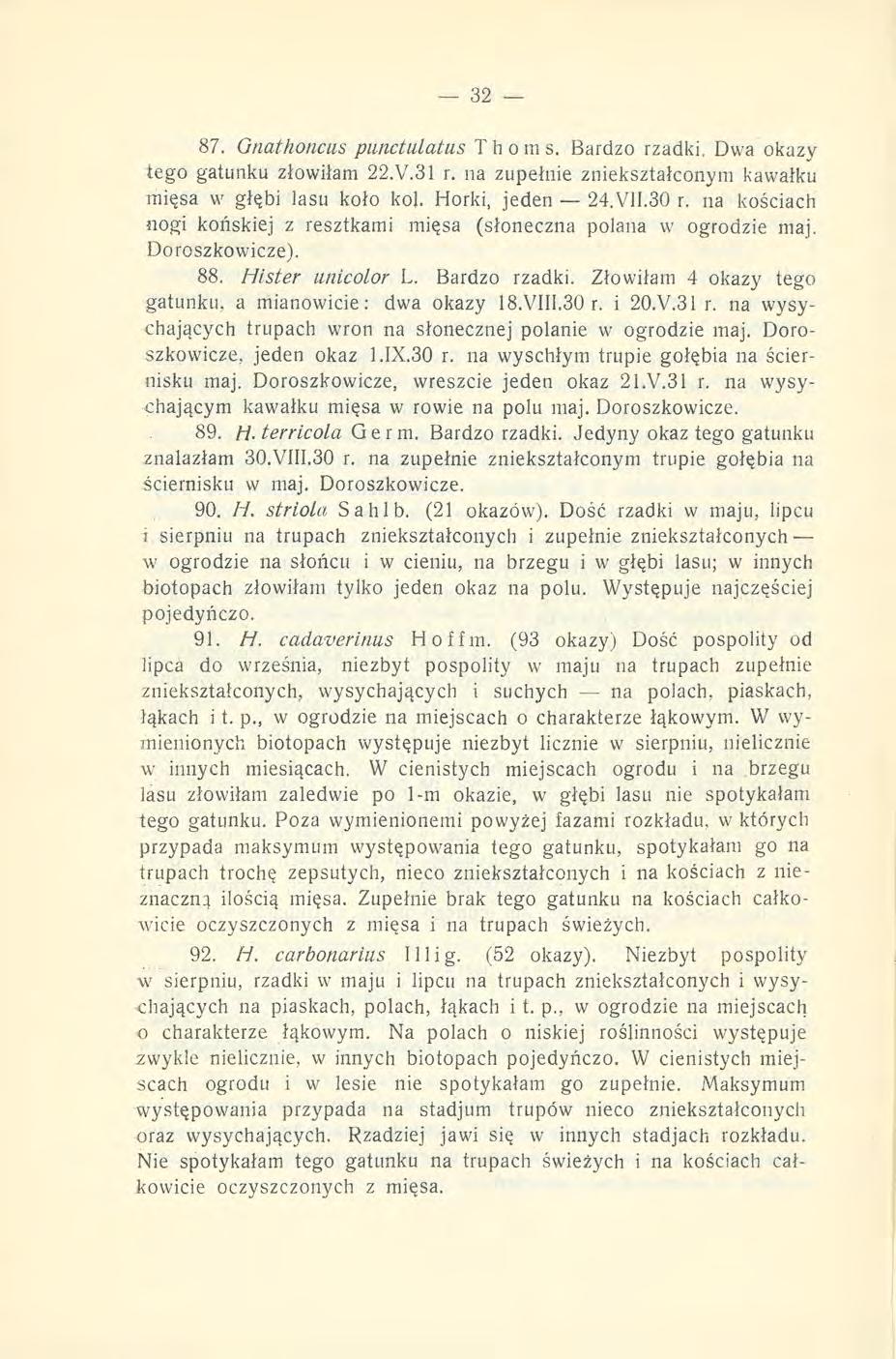 87. Gnathoncas punctulatas Thoms. Bardzo rzadki, Dwa okazy tego gatunku złowiłam 22.Y.31 r. na zupełnie zniekształconym kawałku mięsa w głębi lasu koło kol. Horki, jeden 24.VII.30 r.