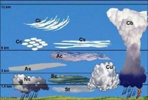 Rodzaje chmur Chmury wysokie występują od 7-10 do 13 km: Cirrus (Ci), Cirrostratus (Cs), Cirrocumulus (Cc) Chmury średnie występują od 2,5-5 do 6 km: Altocumulus (Ac), Altostratus (As);