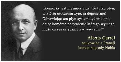 RYS HISTORYCZNY TRANSPLANTOLOGII NA SWIECIE (I W POLSCE) (1873-1944), technika skutecznego szycia naczyń krwionośnych,