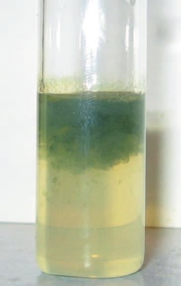 wodne soli elaza jony Fe 2+ i Fe 3+ wyst puj w postaci akwakompleksów, [Fe(H 2 O) 6 ] 2+ + H 2 O [Fe(H 2 O) 5 OH]