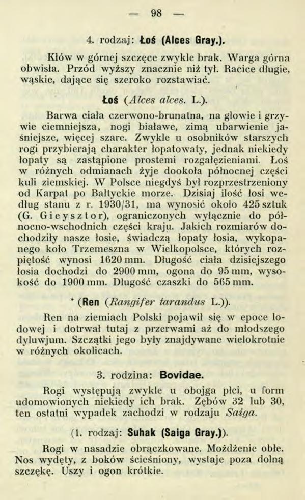 98 4. rodzaj: Łoś (Alces Gray.). Kłów w górnej szczęce zwykle brak. Warga górna obwisła. Przód wyższy znacznie niż tył. Racice długie, wąskie, dające się szeroko rozstawiać. Łoś (Alces alces. L.). Barwa ciała czerwono-brunalna, na głowie i grzywie ciemniejsza, nogi białawe, zimą ubarwienie jaśniejsze, więcej szare.