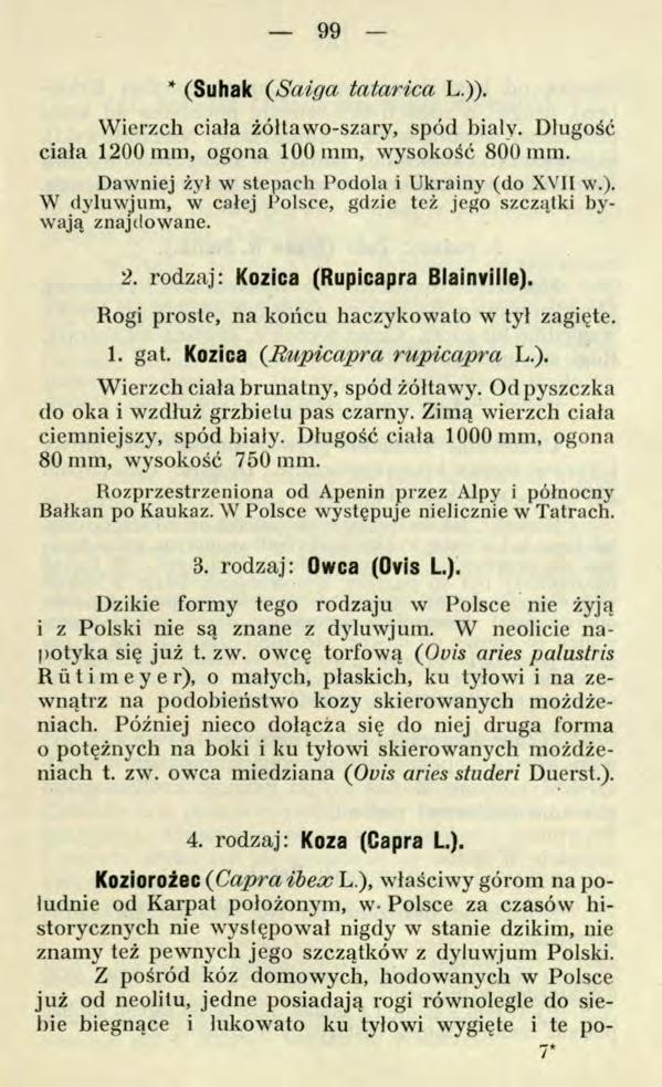 99 Koziorożec (Capra ibex L.