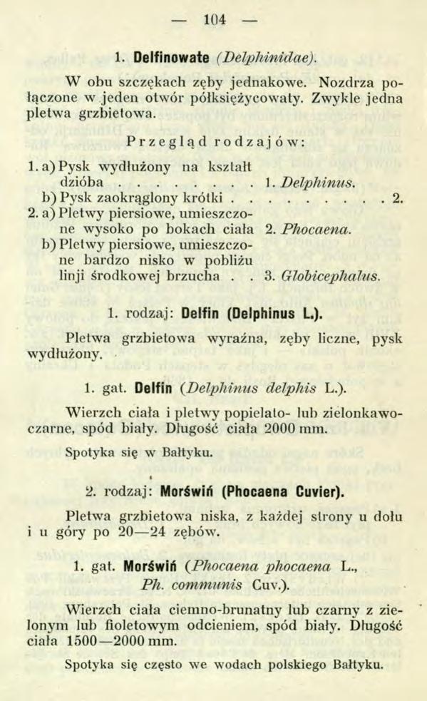 104 1. Delfinowate (Delphinidae). W obu szczękach zęby jednakowe. Nozdrza połączone w jeden otwór półksiężycowaty. Zwykle jedna płetwa grzbietowa. Przegląd rodzajów: 1.