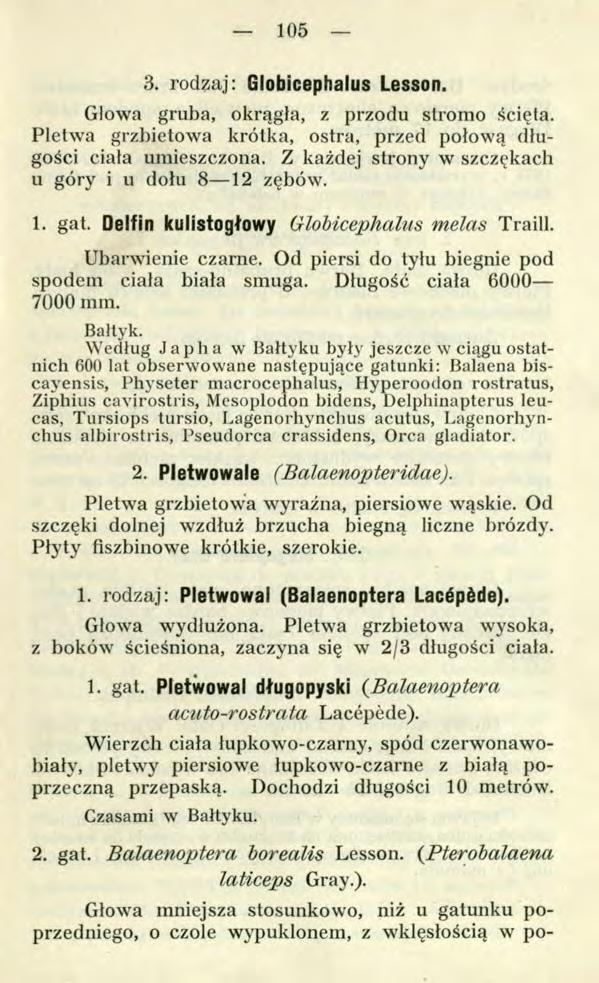 105 2. gat. Balaenoptera borealis Lesson. (Pterobalaena laticeps Gray.). Głowa mniejsza stosunkowo, niż u gatunku poprzedniego, o czole wypuklonem, z wklęsłością w po 3. rodzaj: Globicephalus Lesson.