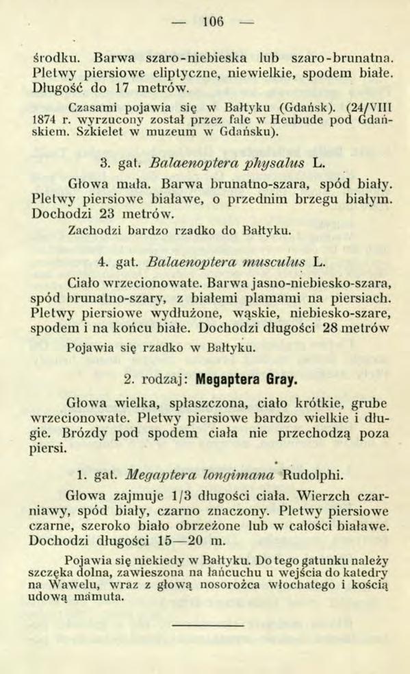 106 środku. Barwa szaro-niebieska lub szaro-brunatna. Płetwy piersiowe eliptyczne, niewielkie, spodem białe. Długość do 17 metrów. Czasami pojawia się w Bałtyku (Gdańsk). ( 2 4 / Ѵ Ш 1874 r.