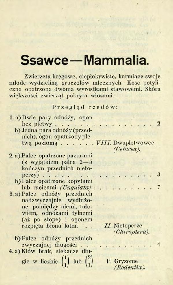 Ssawce Mammalia Zwierzęta kręgowe, ciepłokrwisle, karmiące swoje młode wydzieliną gruczołów mlecznych. Kość potyliczna opatrzona dwoma wyrostkami stawowenii. Skóra większości zwierząt pokryta włosami.