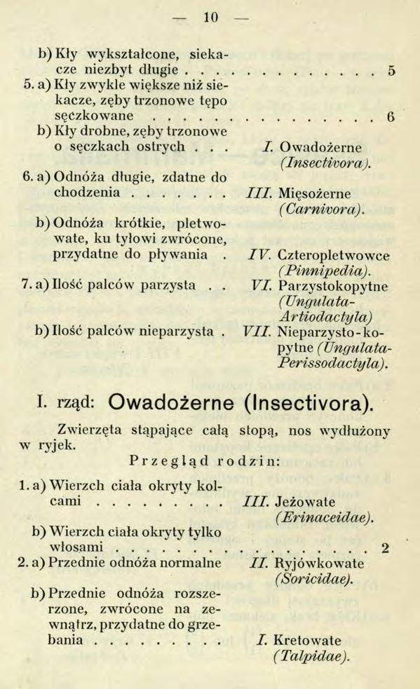 10 b) Kły wykształcone, siekacze niezbyt długie... 5 5. a) Kły zwykle większe niż siekacze, zęby trzonowe tępo sęczkowane...6 b) Kły drobne, zęby trzonowe o sęczkach ostrych... 6.