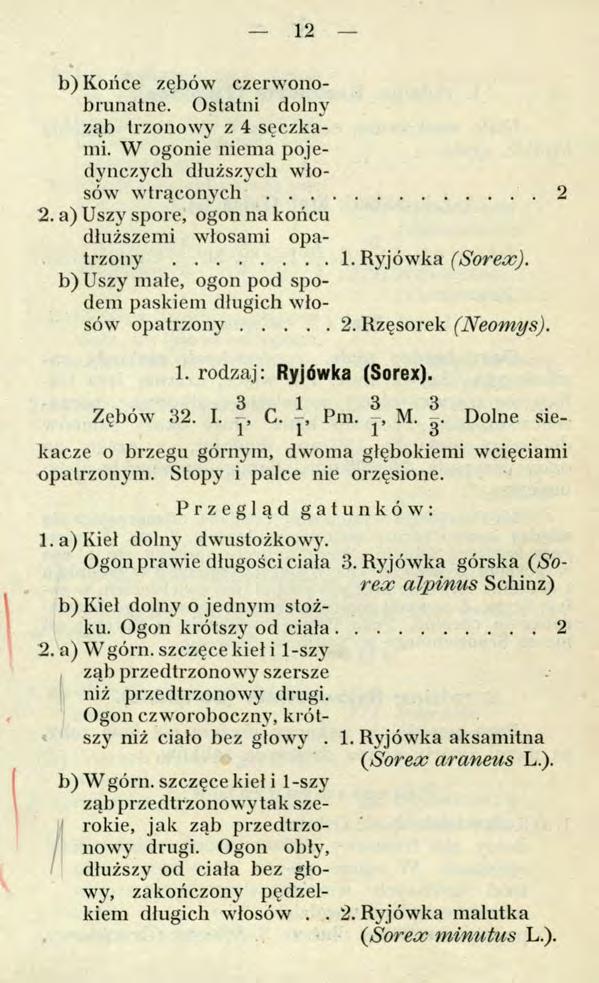 12 b) Końce zębów czerwonobrunatne. Ostatni dolny ząb trzonowy z 4 sęczkami. W ogonie niema pojedynczych dłuższych włosów w trą c o n y c h... 2 2.