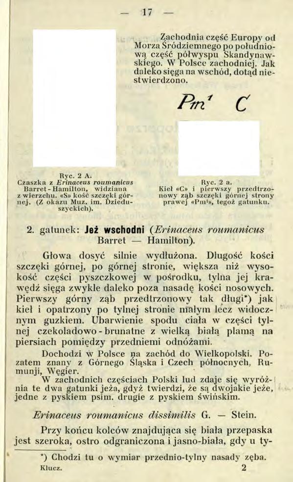 17 Zachodnia część Europy od Morza Śródziemnego po południową część półwyspu Skandynawskiego. W Polsce zachodniej. Jak daleko sięga na wschód, dotąd niestwierdzono. Pm ' С Rye. 2 A.