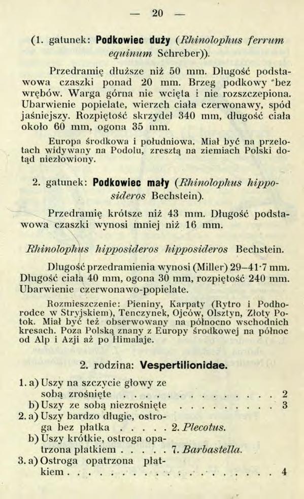 20 (1. gatunek: Podkowiec duży {RMnolophus ferrum equinum Schreber)). Przedramię dłuższe niż 50 mm. Długość podstawowa czaszki ponad 20 mm. Brzeg podkowy 'bez wrębów.
