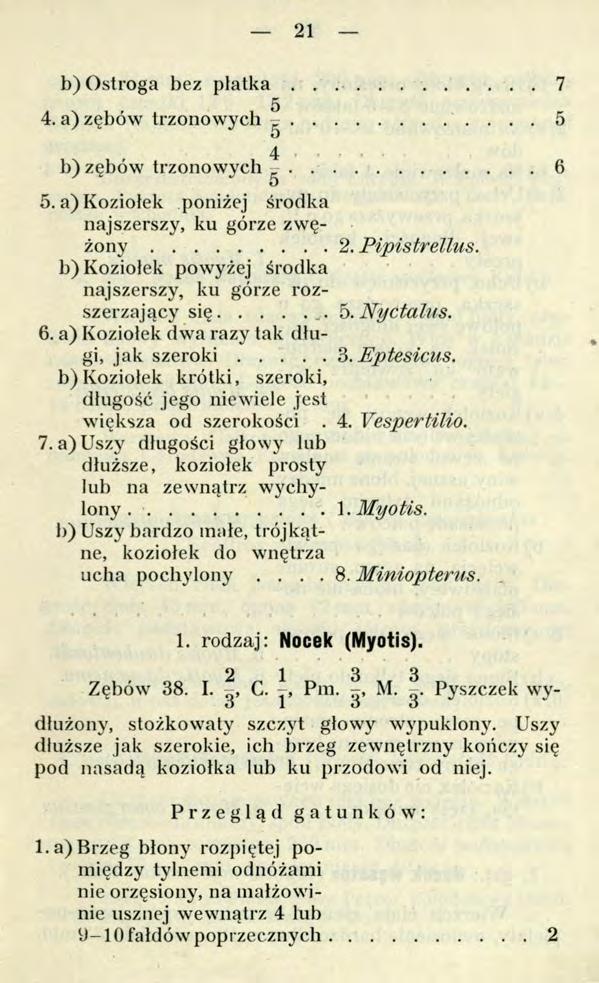 21 b) Ostroga bez p ł a t k a...7 5 4. a) zębów trzonowych --... 5 O 4 b) zębów trz o n o w y c h...6 O 5. a) Koziołek poniżej środka najszerszy, ku górze zwężony... 2. Pipistrellus.