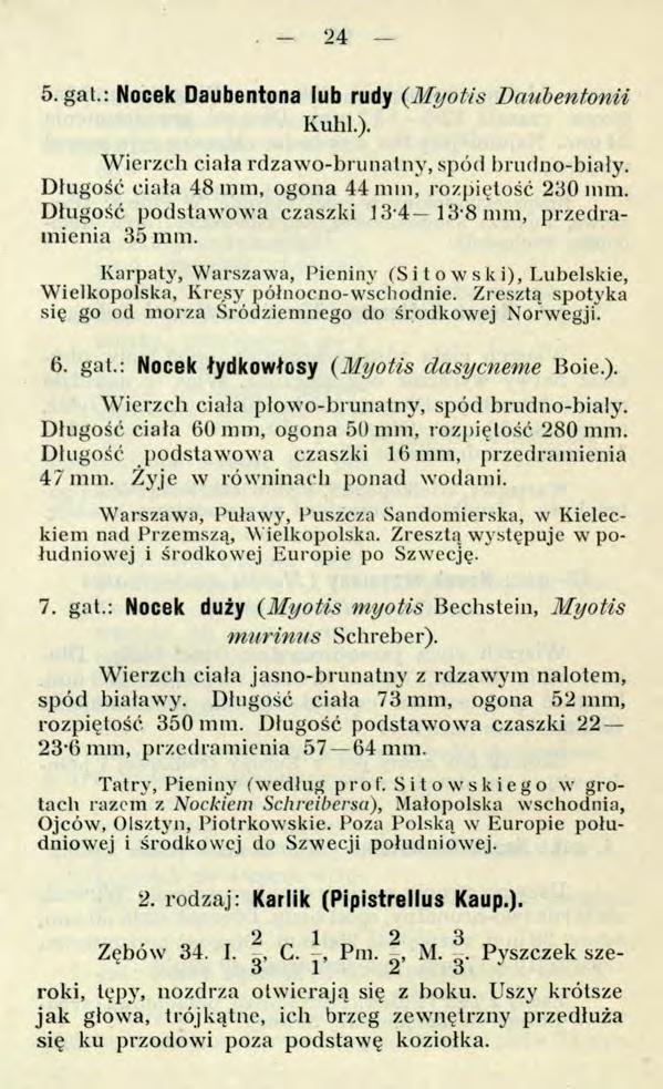- 24 5.gal.: Nocek Daubentona lub rudy (Myotis Dauhentonii Kuhl.). Wierzch ciała rdzawo-brunatny, spód brudno-biały. Długość ciała 48 mm, ogona 44 mm, rozpiętość 230 mm.
