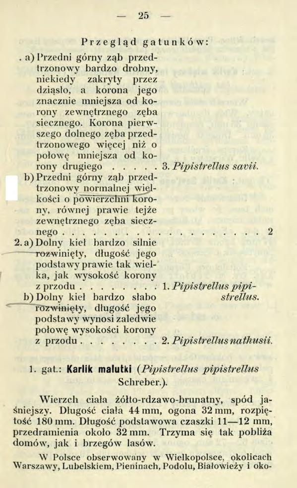 25 Przegląd gatunków:. a) Przedni górny ząb przedtrzonowy bardzo drobny, niekiedy zakryty przez dziąsło, a korona jego znacznie mniejsza od korony zewnętrznego zęba siecznego.