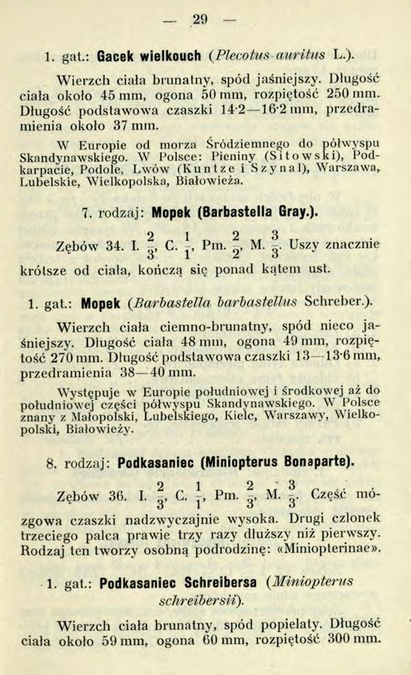 29 1. gat.: Gacek wielkouch (Plecotus-auritus L.). Wierzch ciała brunatny, spód jaśniejszy. Długość ciała około 45 mm, ogona 50 mm, rozpiętość 250 mm.