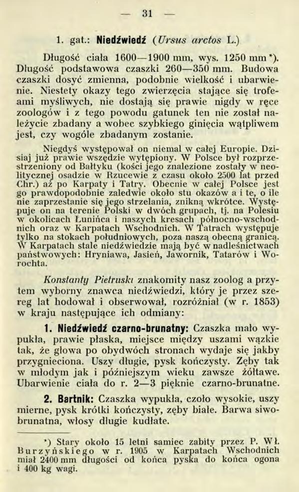 31 1. gat.: Niedźwiedź ( Urstis arctos L.) Długość ciała 1600 1900 mm, wys. 1250 m m 4). Długość podstawowa czaszki 260 350 mm. Budowa czaszki dosyć zmienna, podobnie wielkość i ubarwienie.