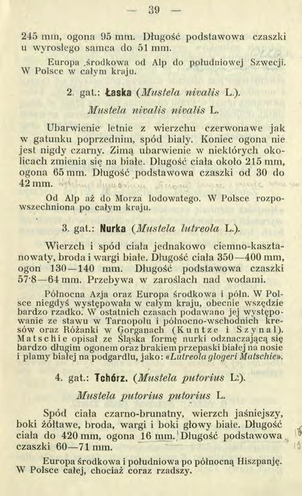 245 min, ogona 95 mm. Długość podstawowa czaszki u wyrosłego samca do 51 mm. Europa.środkowa od Alp do południowej Szwecji. W Polsce w całym kraju. 2. gat.: Łaska (M u stela nivalis L.).