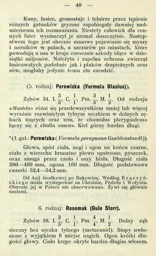40 Kuny, łasice, gronostaje i tchórze przez tępienie różnych gatunków gryzoni zapobiegały dawniej nadmiernemu ich rozmnażaniu. Niestety człowiek dla cennych futer wyniszczył je niemal doszczętnie.