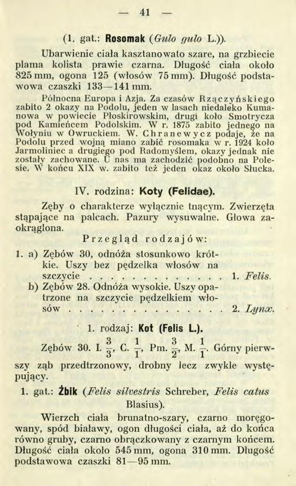 41 (1. gat.: Rosomak ( Gulo gulo L.)). Ubarwienie ciała kasztanowato szare, na grzbiecie plama kolista prawie czarna. Długość ciała około 825 mm, ogona 125 (włosów 75 mm).