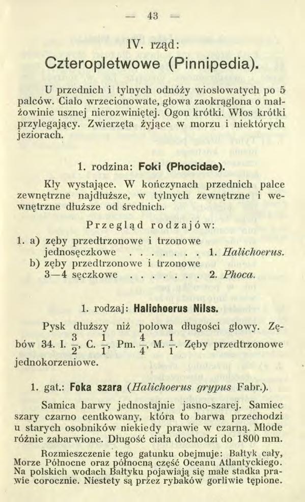 43 IV. rząd: Czteropletwowe (Pinnipedia). U przednich i tylnych odnóży wiosłowatych po 5 palców. Ciało wrzecionowate, głowa zaokrąglona o małżowinie usznej nierozwiniętej. Ogon krótki.