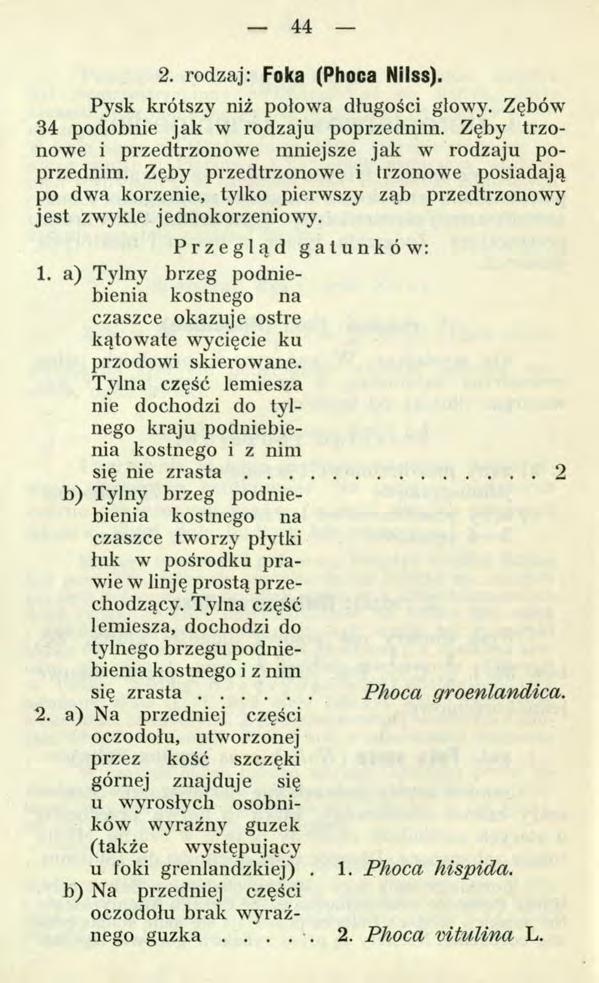 _ 44 2. rodzaj: Foka (Phoca Nilss). Pysk krótszy niż połowa długości głowy. Zębów 34 podobnie jak w rodzaju poprzednim. Zęby trzonowe i przedtrzonowe mniejsze jak w rodzaju poprzednim.