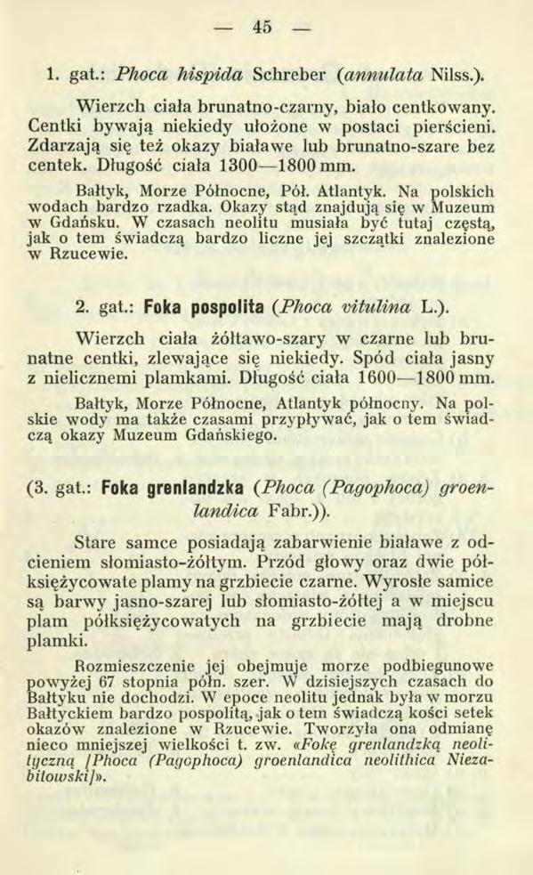 45 1. gat.: Phoca M spida Schreber (annulata Nilss.). Wierzch ciała brunatno-czarny, bialo centkowany. Centki bywają niekiedy ułożone w postaci pierścieni.