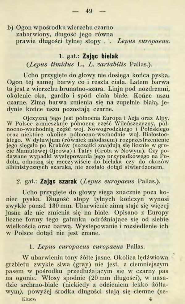 49 b) Ogon w pośrodku wierzchu czarno zabarwiony, długość jego równa prawie długości tylnej stopy. Lepus europaeus. 1. gat.: Zajęć bielak (Lepus timidus L., L. variabilis Pallas.). Ucho przygięte do głowy nie dosięga końca pyska.