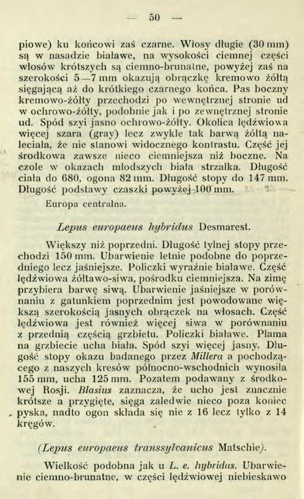 - 50 piowe) ku końcowi zaś czarne.